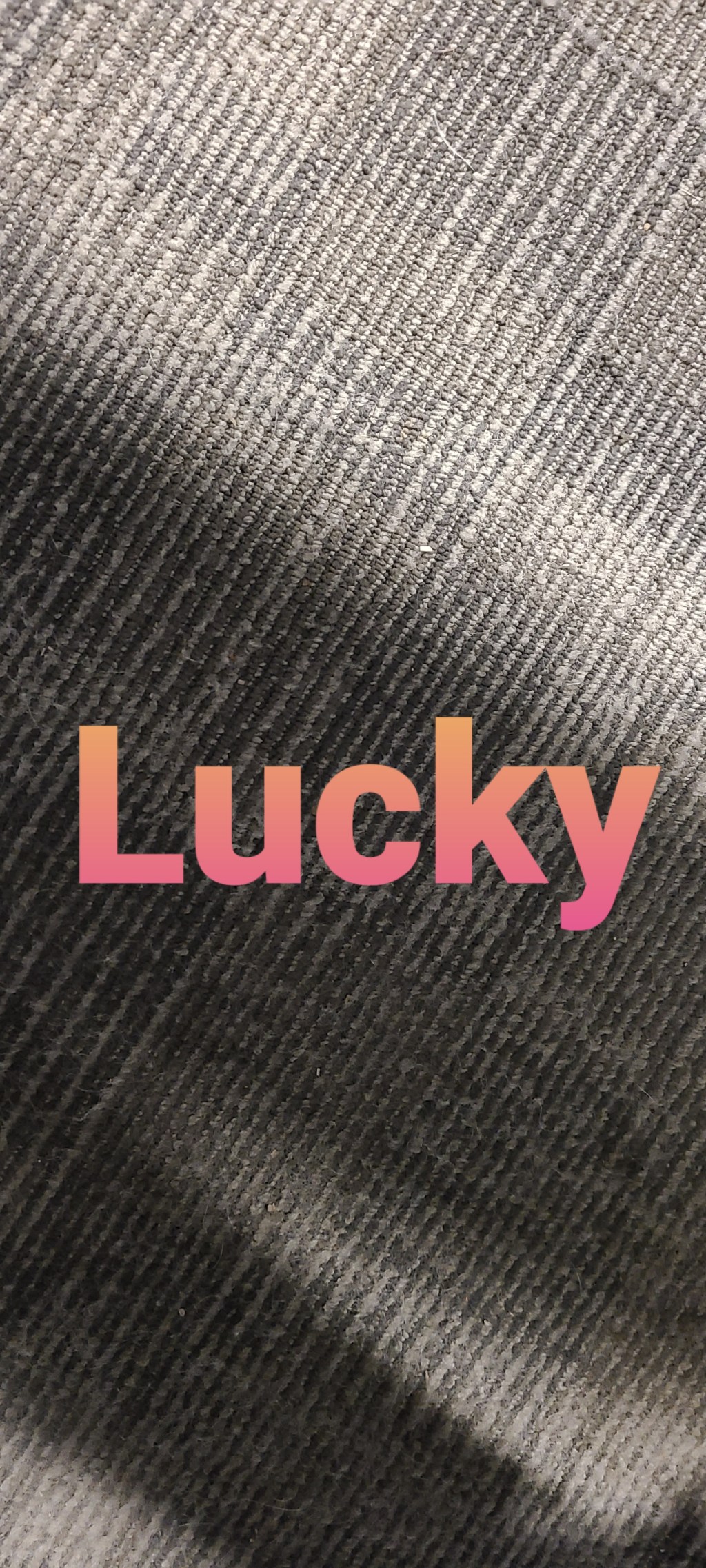 Quiet creeper, outed.&nbsp;FINALLY!